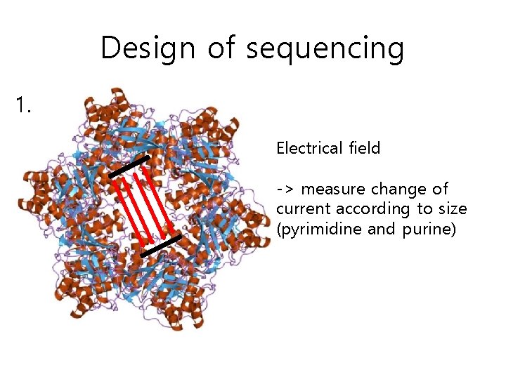 Design of sequencing 1. Electrical field -> measure change of current according to size