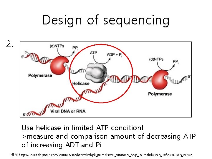 Design of sequencing 2. Use helicase in limited ATP condition! >measure and comparison amount