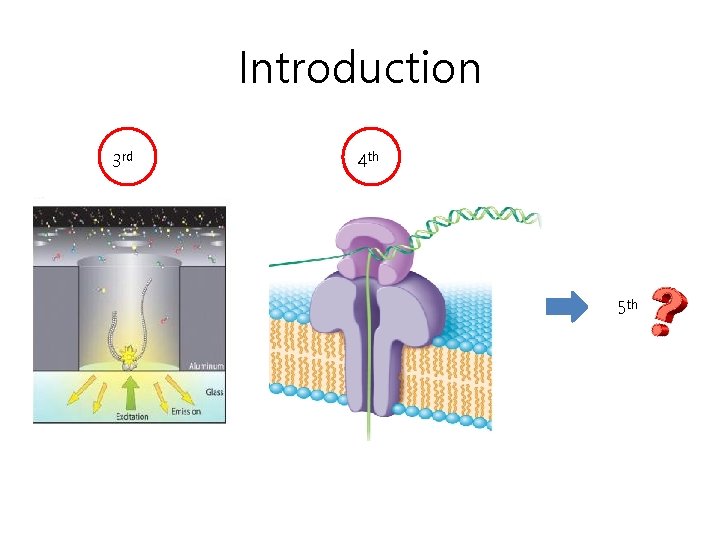 Introduction 3 rd 4 th 5 th 