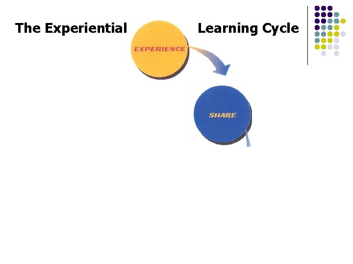 The Experiential Learning Cycle 