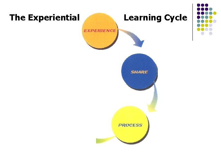 The Experiential Learning Cycle 