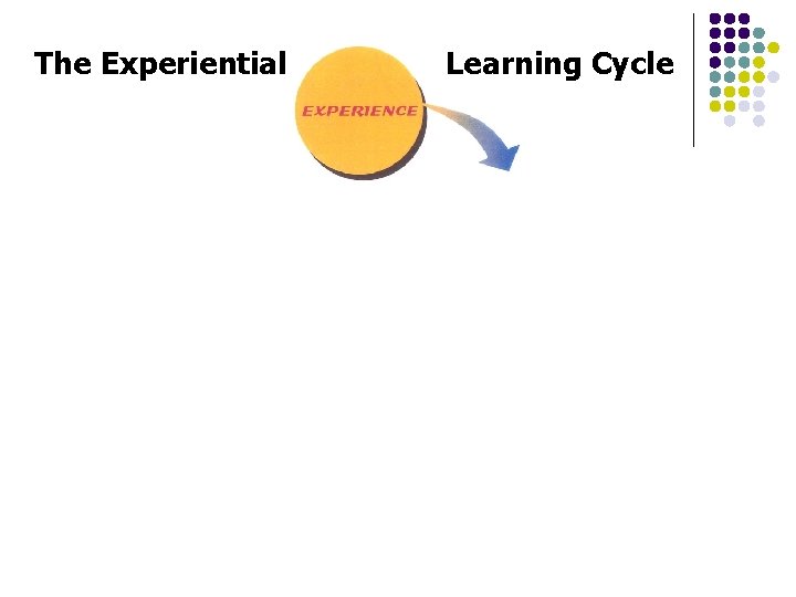 The Experiential Learning Cycle 