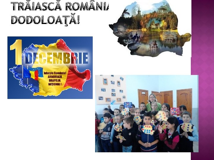 TRĂIASCĂ ROM NIA DODOLOAŢĂ! 