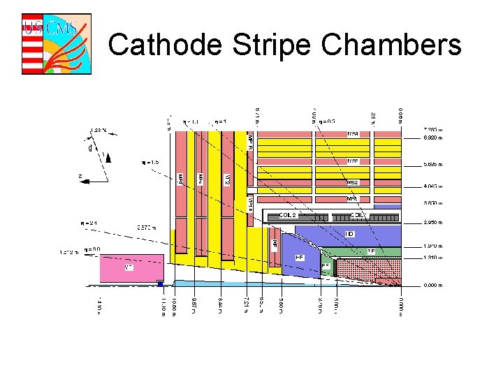 Cathode Stripe Chambers 