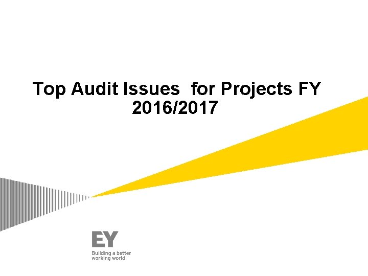 Top Audit Issues for Projects FY 2016/2017 