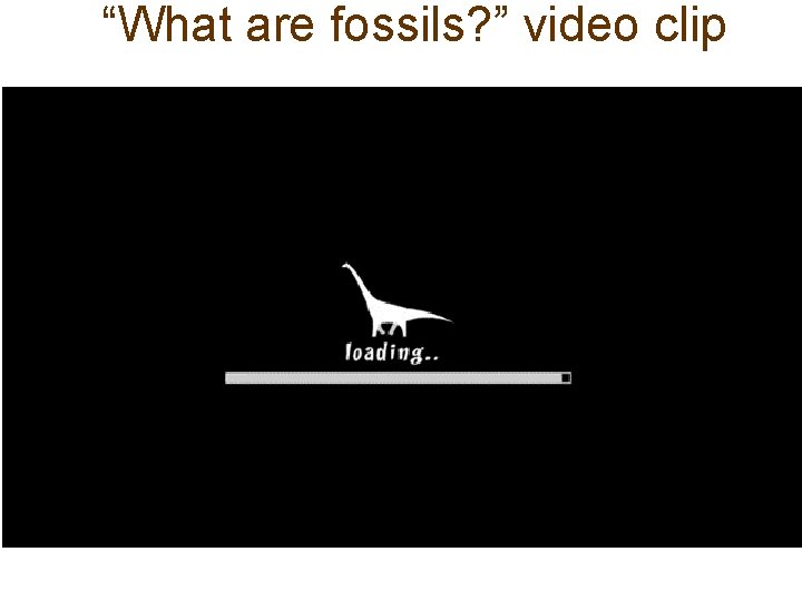 “What are fossils? ” video clip 