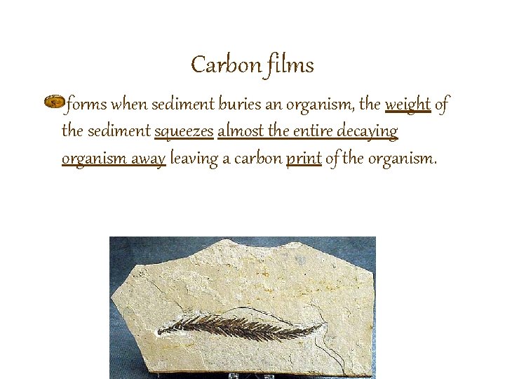 Carbon films forms when sediment buries an organism, the weight of the sediment squeezes