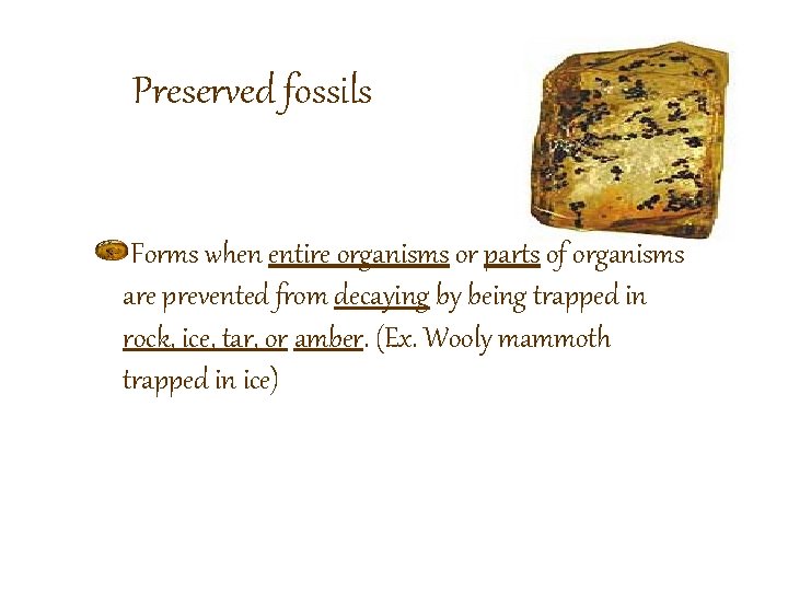 Preserved fossils Forms when entire organisms or parts of organisms are prevented from decaying