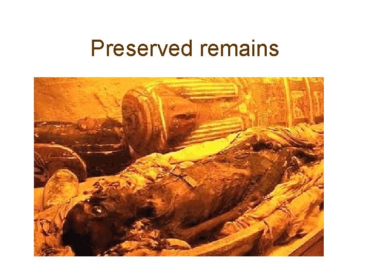 Preserved remains 