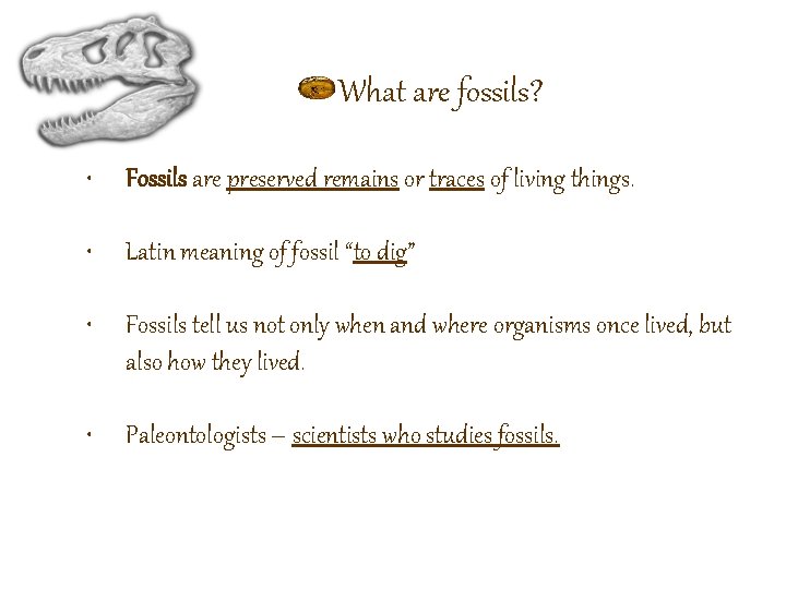 What are fossils? • Fossils are preserved remains or traces of living things. •