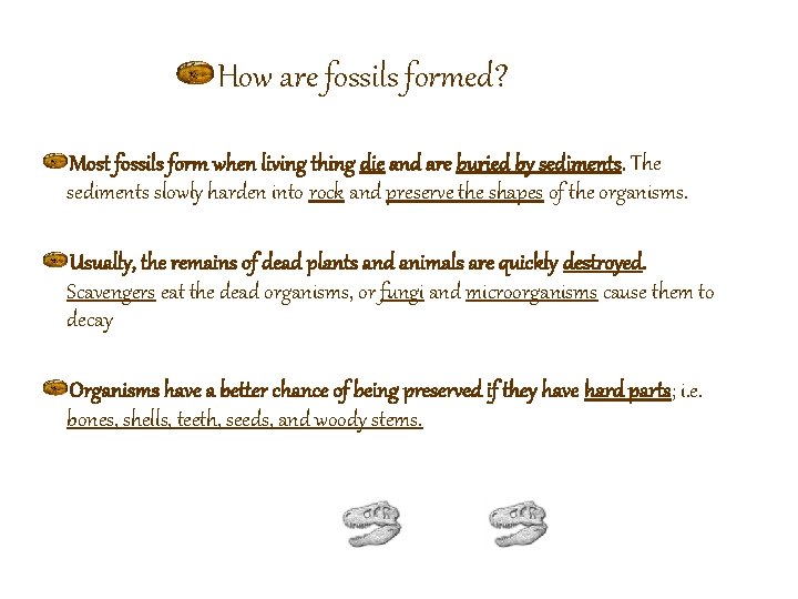 How are fossils formed? Most fossils form when living thing die and are buried