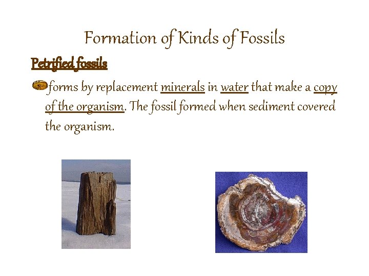 Formation of Kinds of Fossils Petrified fossils forms by replacement minerals in water that