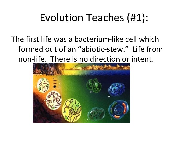 Evolution Teaches (#1): The first life was a bacterium-like cell which formed out of