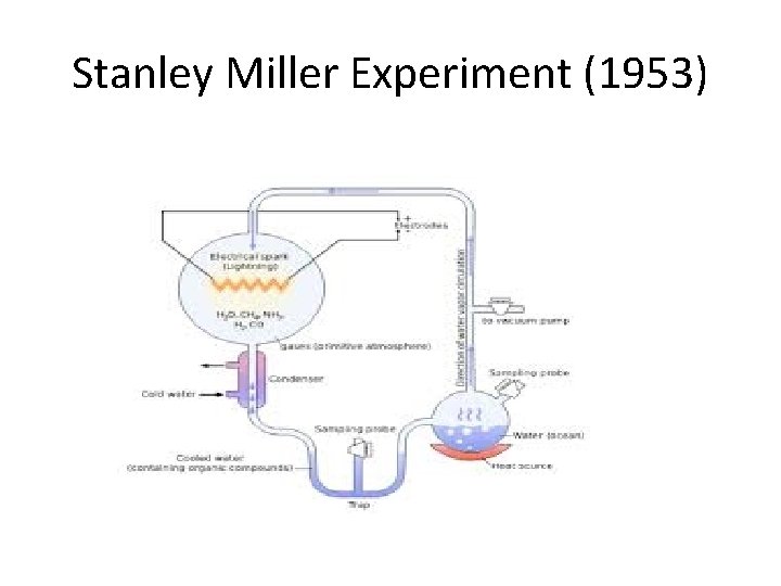 Stanley Miller Experiment (1953) 