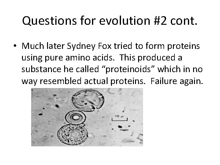 Questions for evolution #2 cont. • Much later Sydney Fox tried to form proteins