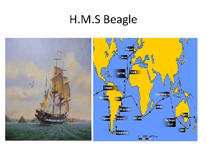 H. M. S Beagle 