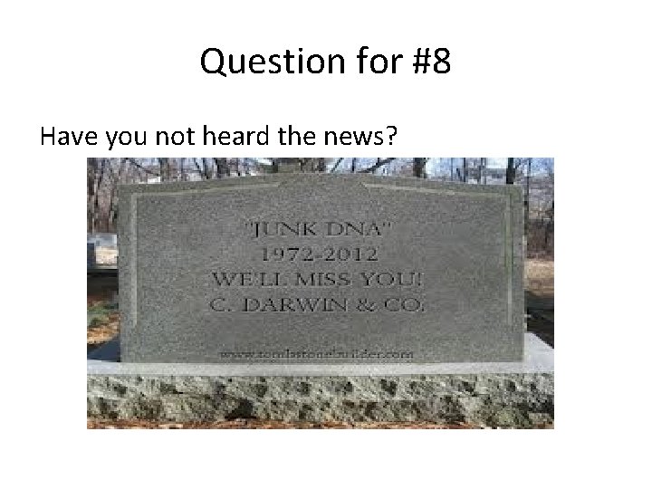 Question for #8 Have you not heard the news? 
