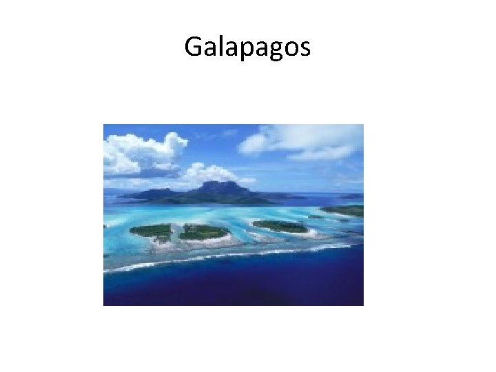 Galapagos 