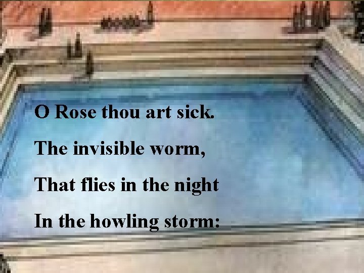 O Rose thou art sick. The invisible worm, That flies in the night In