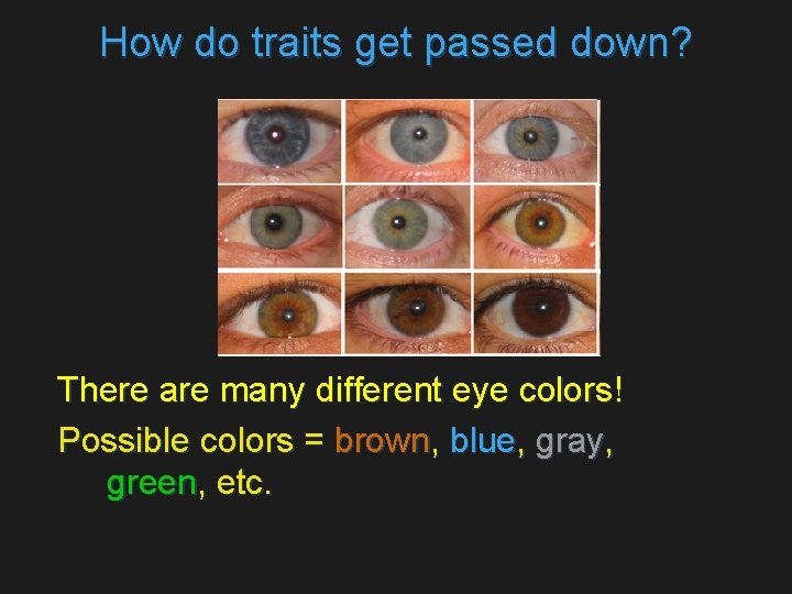 How do traits get passed down? There are many different eye colors! Possible colors