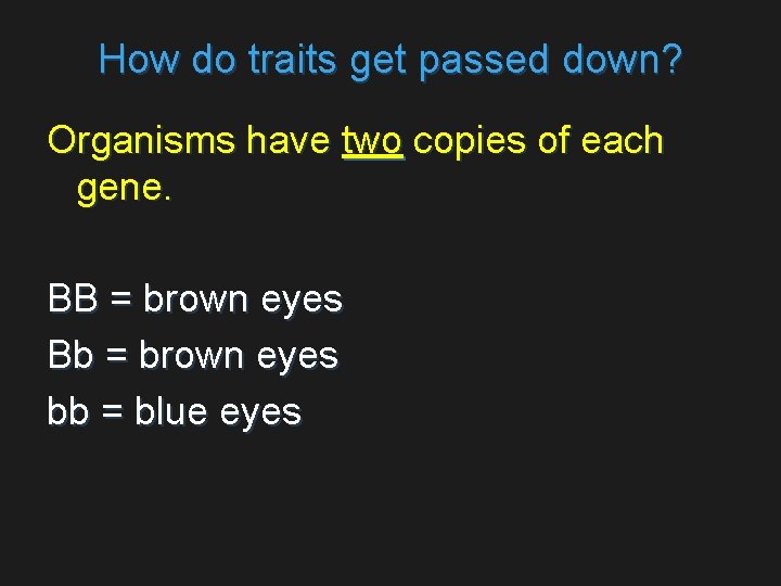 How do traits get passed down? Organisms have two copies of each gene. BB