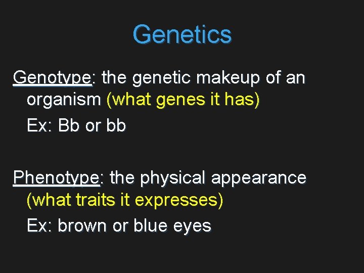 Genetics Genotype: the genetic makeup of an organism (what genes it has) Ex: Bb