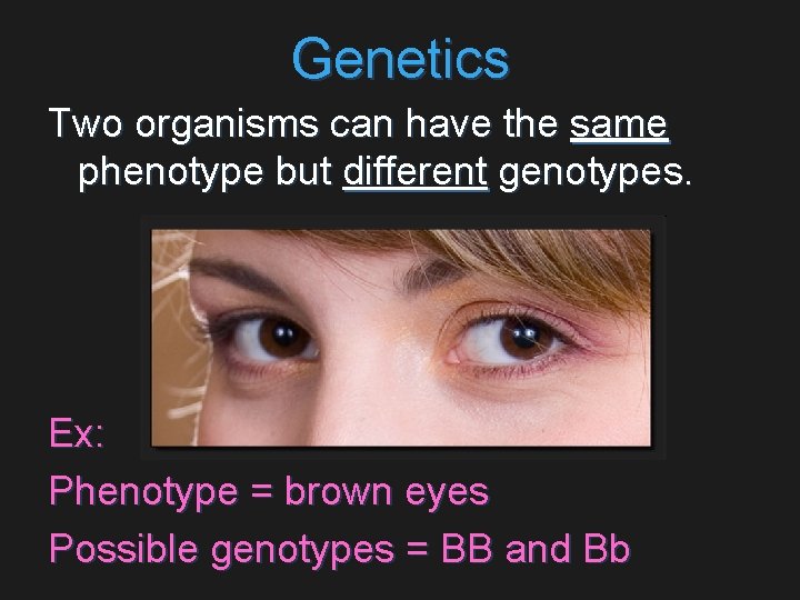 Genetics Two organisms can have the same phenotype but different genotypes. Ex: Phenotype =