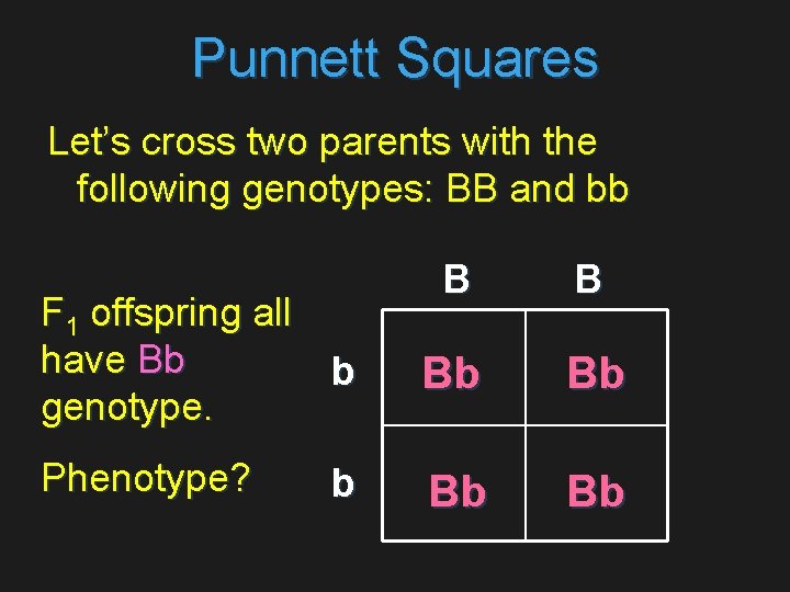 Punnett Squares Let’s cross two parents with the following genotypes: BB and bb F