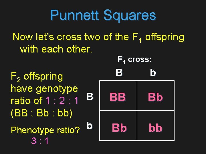 Punnett Squares Now let’s cross two of the F 1 offspring with each other.