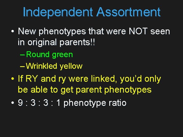 Independent Assortment • New phenotypes that were NOT seen in original parents!! – Round