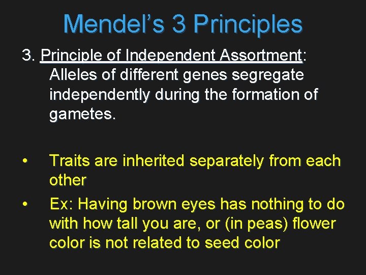 Mendel’s 3 Principles 3. Principle of Independent Assortment: Alleles of different genes segregate independently