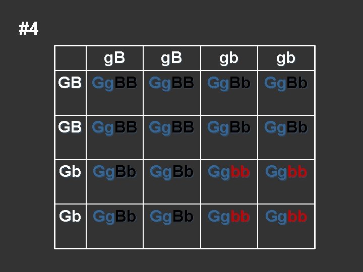 #4 g. B gb gb GB Gg. BB Gg. Bb Gb Gg. Bb Ggbb