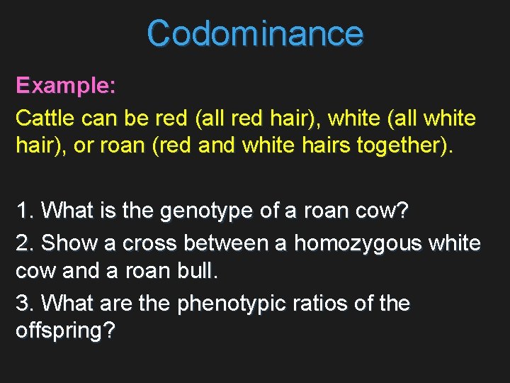 Codominance Example: Cattle can be red (all red hair), white (all white hair), or