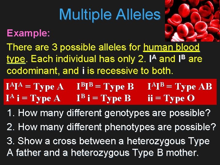 Multiple Alleles Example: There are 3 possible alleles for human blood type. Each individual