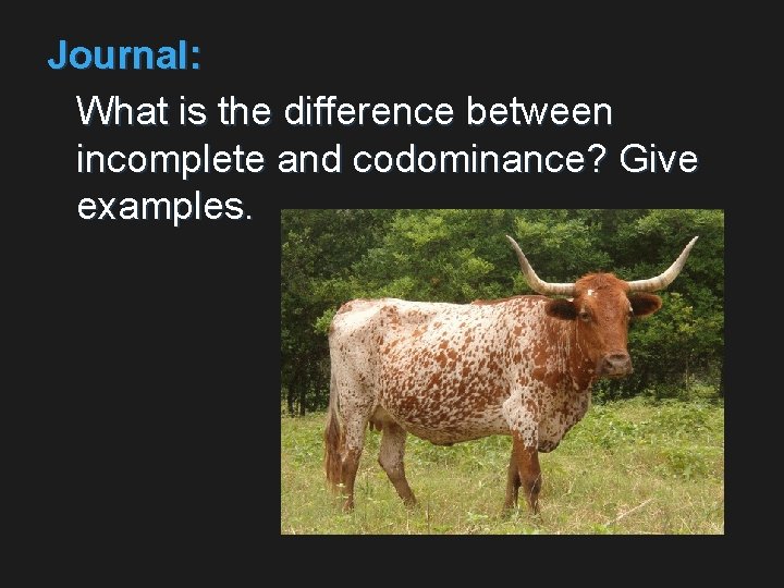 Journal: What is the difference between incomplete and codominance? Give examples. 