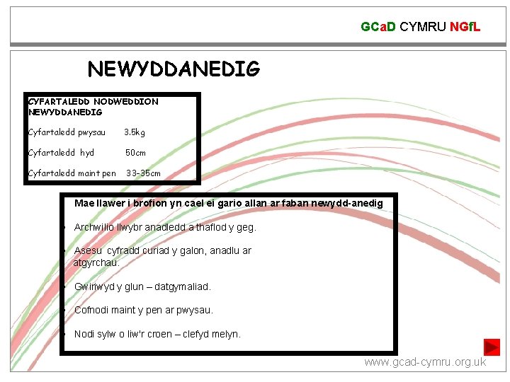 GCa. D CYMRU NGf. L NEWYDDANEDIG CYFARTALEDD NODWEDDION NEWYDDANEDIG Cyfartaledd pwysau 3. 5 kg