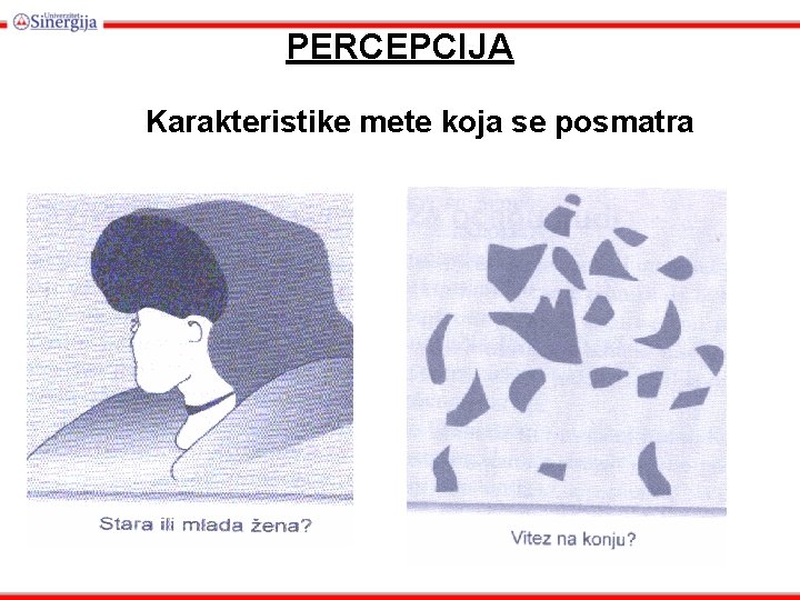 PERCEPCIJA Karakteristike mete koja se posmatra 