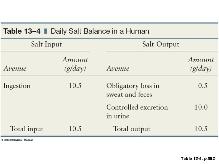 Table 13 -4, p. 592 