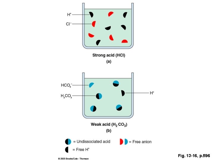 Fig. 13 -16, p. 596 