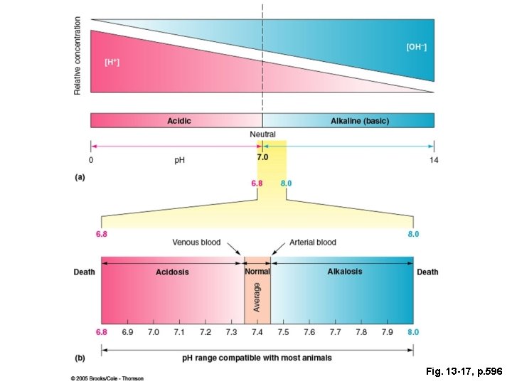 Fig. 13 -17, p. 596 