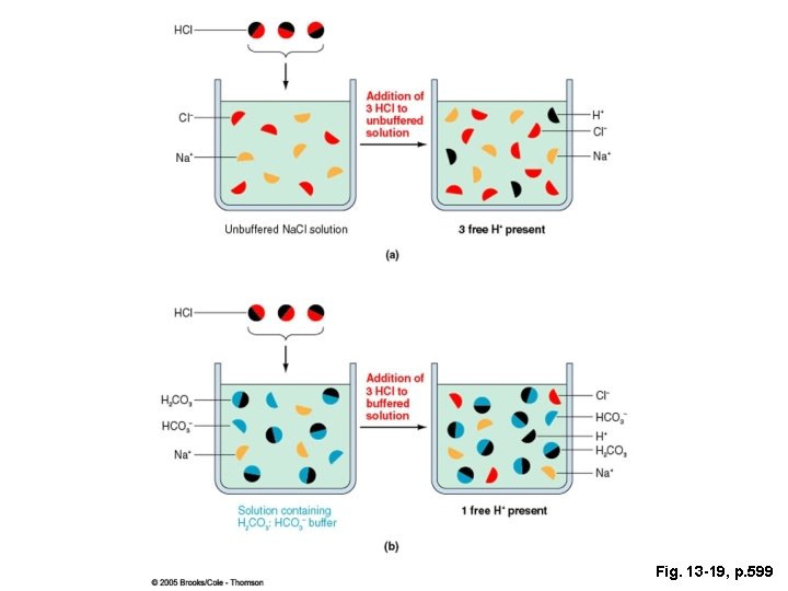 Fig. 13 -19, p. 599 