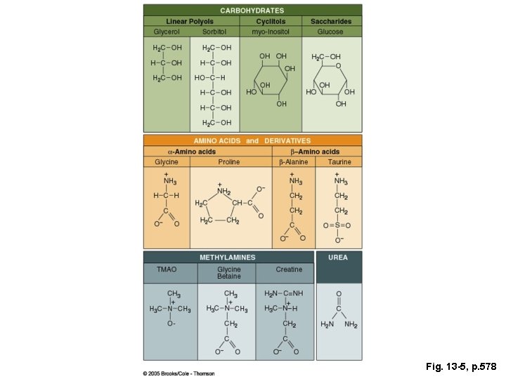 Fig. 13 -5, p. 578 