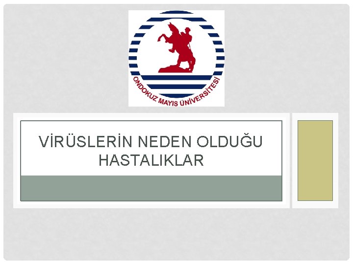 VİRÜSLERİN NEDEN OLDUĞU HASTALIKLAR 