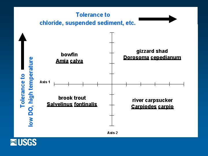 Tolerance to low DO, high temperature Tolerance to chloride, suspended sediment, etc. gizzard shad