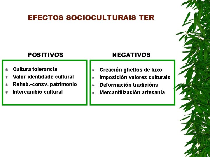 EFECTOS SOCIOCULTURAIS TER POSITIVOS Cultura tolerancia Valor identidade cultural Rehab. -consv. patrimonio Intercambio cultural