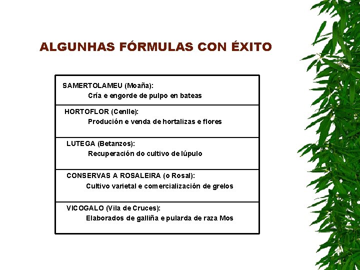 ALGUNHAS FÓRMULAS CON ÉXITO SAMERTOLAMEU (Moaña): Cría e engorde de pulpo en bateas HORTOFLOR