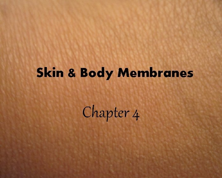 Skin & Body Membranes Chapter 4 