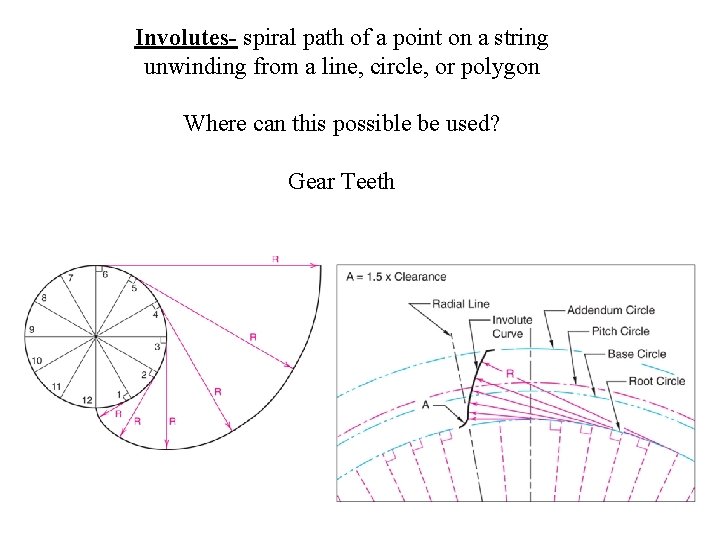 Involutes- spiral path of a point on a string unwinding from a line, circle, Involutes- spiral path of a point on a string unwinding from a line, circle,