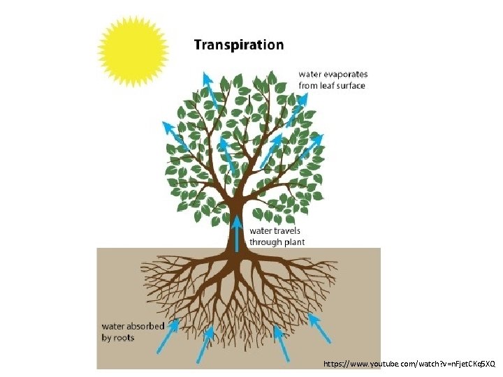 https: //www. youtube. com/watch? v=n. Fjet. CKq 5 XQ 