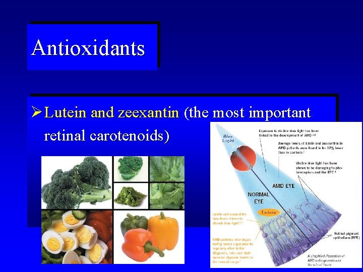 Antioxidants Ø Lutein and zeexantin (the most important retinal carotenoids) 